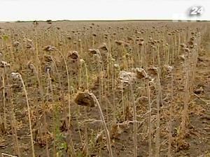Необхідно збільшити обсяги виробництва продуктів харчування Необхідно збільшити обсяги виробництва продуктів харчування