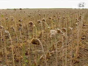 Необходимо увеличить объемы производства продуктов питания