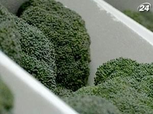 Броколі знижують ризик серцево-судинних захворювань Броколі знижують ризик серцево-судинних захворювань