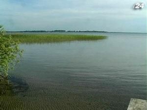 Украина создала совместный заповедник с Польшей и Белоруссией Украина создала совместный заповедник с Польшей и Белоруссией