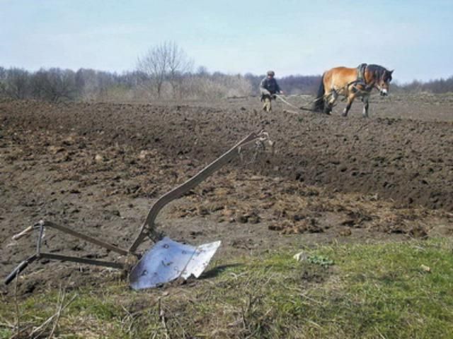 Світовий банк: Україна не готова до ринку землі - 29 жовтня 2011 - Телеканал новин 24