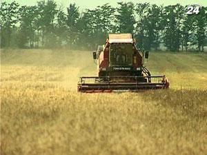 Світовий банк: Україна не готова до ринку землі - 31 жовтня 2011 - Телеканал новин 24 Світовий банк: Україна не готова до ринку землі - 31 жовтня 2011 - Телеканал новин 24