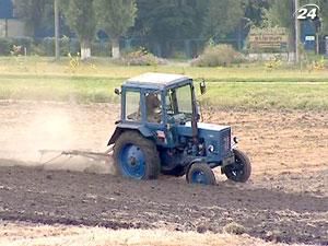 Озимими засіяли 96% планових площ Озимими засіяли 96% планових площ