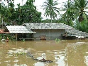 Кількість жертв повеней у Таїланді перевищила 420 осіб Кількість жертв повеней у Таїланді перевищила 420 осіб