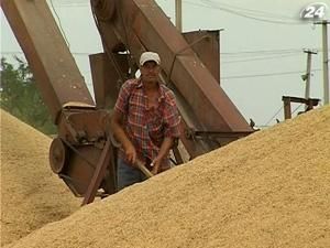 Египет купил украинскую пшеницу дешевле чем в России
