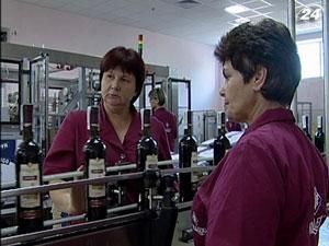 Украинские виноделы наращивают объемы экспорта Украинские виноделы наращивают объемы экспорта