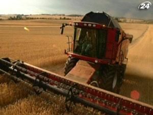 ООН прогнозує високі ціни на зерно наступного року