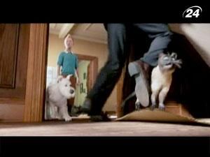 "Пригоди Тінтіна": газетний репортер відправляється на пошуки скарбів "Пригоди Тінтіна": газетний репортер відправляється на пошуки скарбів