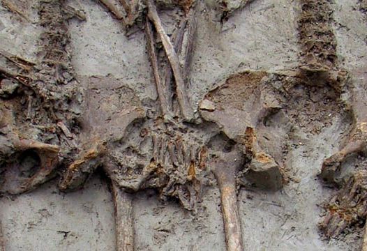 Археологи нашли пару, которая держалась за руки 1,5 тысячи лет