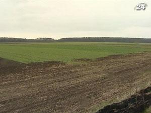 Доходность агросектора может вырасти с 5 млрд. до 70 млрд. грн.