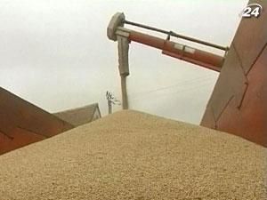На мировом рынке зерна появился новый глобальный ценовой индекс