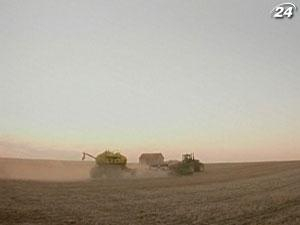 АТЭС хочет создать Международный резервный фонд зерна