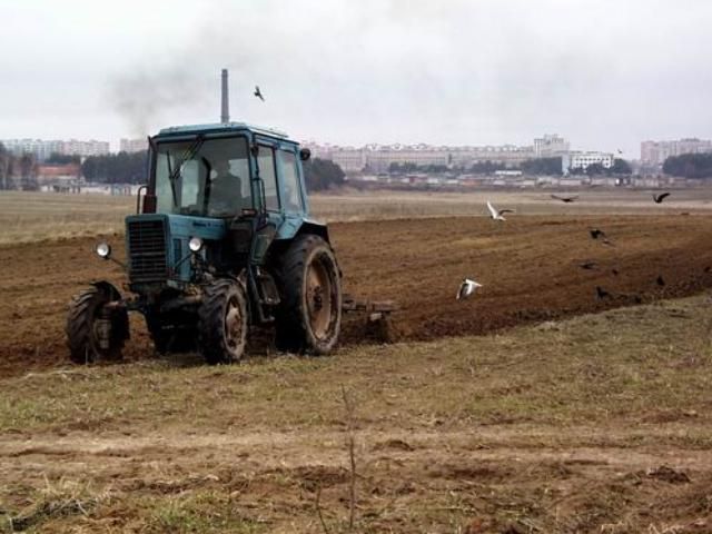 Ринку землі до кінця року не буде Ринку землі до кінця року не буде