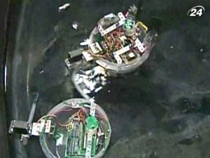 С помощью роботов ученые проводят эволюционные исследования С помощью роботов ученые проводят эволюционные исследования