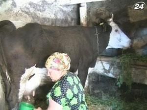 Українські фермери не отримують державну компенсацію Українські фермери не отримують державну компенсацію