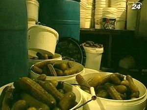 В подпольном цехе квасили овощи в антисанитарных условиях В подпольном цехе квасили овощи в антисанитарных условиях