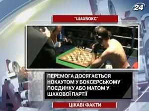 Шахбокс - вид спорту, який поєднує шахи та бокс