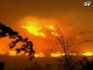 Американский штат Невада страдает от лесных пожаров Американский штат Невада страдает от лесных пожаров