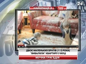 Двоє маленьких братів "виваляли" квартиру у муці Двоє маленьких братів "виваляли" квартиру у муці