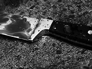 В Черниговской области теща во время ссоры убила зятя В Черниговской области теща во время ссоры убила зятя