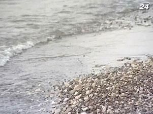 Общественная палата России: в аварии "Булгарии" виноват экипаж Общественная палата России: в аварии "Булгарии" виноват экипаж