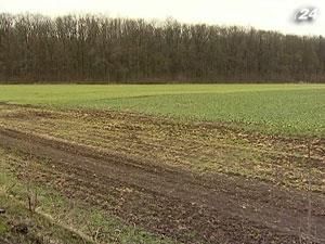 Мінагропрод: 14% озимих доведеться пересіяти яровими Мінагропрод: 14% озимих доведеться пересіяти яровими