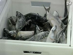 Ціни на рибу та рибну продукцію цього року зросли на 10-15%