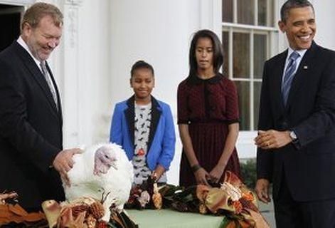 Обама по случаю Дня благодарения помиловал двух индеек Обама по случаю Дня благодарения помиловал двух индеек