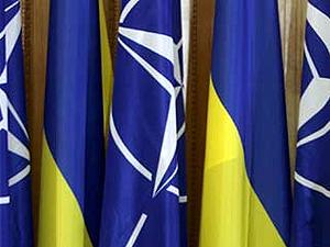 НАТО положительно оценивает выполнение национальной программы