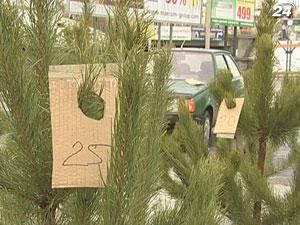 На елках будут не только чипы, но и клеймо На елках будут не только чипы, но и клеймо