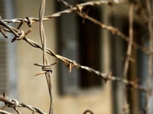 У день народження Тимошенко під СІЗО відіграють концерт У день народження Тимошенко під СІЗО відіграють концерт