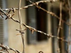 У день народження Тимошенко під СІЗО відіграють концерт