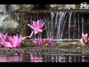 Балі: $2000 - і Ви на острові богів, танців та усмішок Балі: $2000 - і Ви на острові богів, танців та усмішок