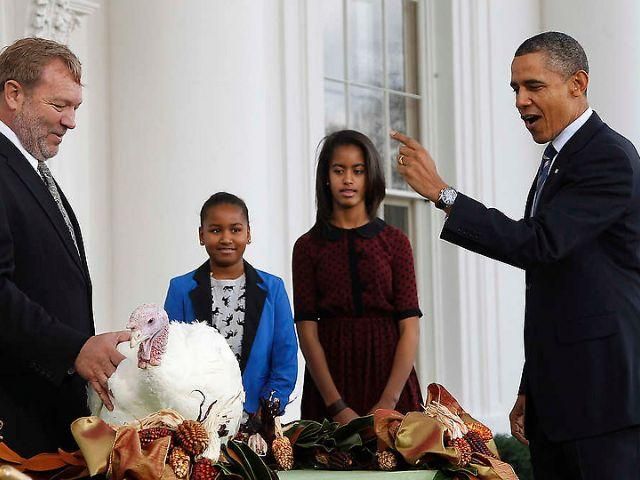 На День Благодарения Барак Обама помиловал двух индеек