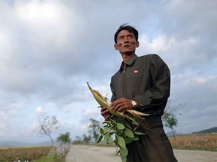 ООН: Голод в Северной Корее все еще продолжается