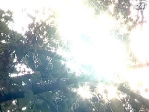 Каждый пятый испытывает симптомы "сезонной депрессии" Каждый пятый испытывает симптомы "сезонной депрессии"