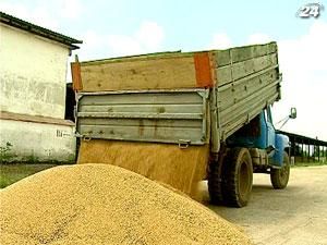 Эксперты: зерновой пул Азарова - мертворожденная идея Эксперты: зерновой пул Азарова - мертворожденная идея