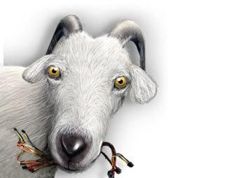 Cервис LiveJournal атаковали хакеры Cервис LiveJournal атаковали хакеры