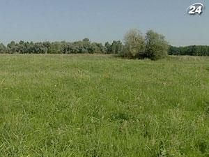 Присяжнюк: Ринок землі повноцінно запрацює з 2013 року Присяжнюк: Ринок землі повноцінно запрацює з 2013 року