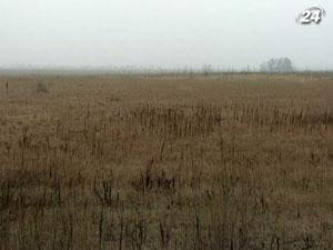 В следующем году урожай озимых в Украине сократится на 40%