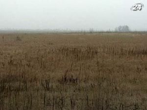 В следующем году урожай озимых в Украине сократится на 40% В следующем году урожай озимых в Украине сократится на 40%