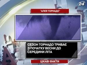 Алея торнадо - історичне місце в США, де найчастіше виникають торнадо