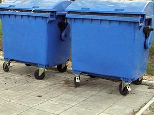 На Житомирщині у смітнику знайшли мертве немовля На Житомирщині у смітнику знайшли мертве немовля