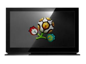 Жители 150 стран следили за жеребьевкой финала Евро-2012 Жители 150 стран следили за жеребьевкой финала Евро-2012