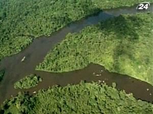 Изменения климата катастрофически влияют на состояние дикой природы Изменения климата катастрофически влияют на состояние дикой природы