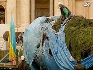 На площі Святого Петра встановили закарпатську ялинку На площі Святого Петра встановили закарпатську ялинку