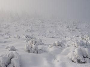 Американец питался замороженным пивом Американец питался замороженным пивом