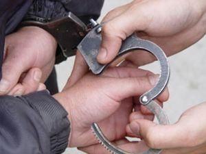 У Нью-Йорку заарештували жителя за його виклики поліції У Нью-Йорку заарештували жителя за його виклики поліції