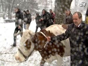 Присяжнюк: Право обігу землі пропонується розпочати з 2013 Присяжнюк: Право обігу землі пропонується розпочати з 2013