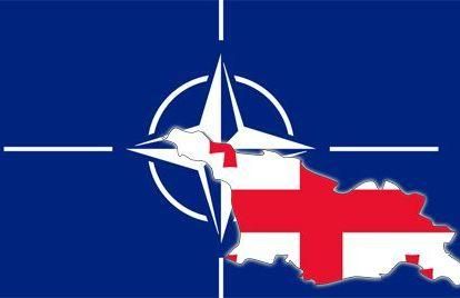 Грузия стала аспирантом НАТО Грузия стала аспирантом НАТО